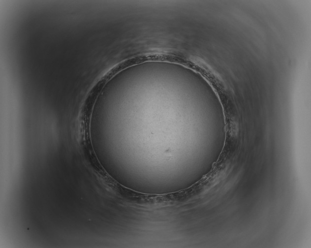 X0000102361208200808011445