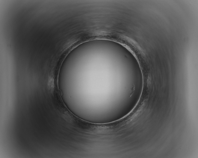 X0000102361209200808011445