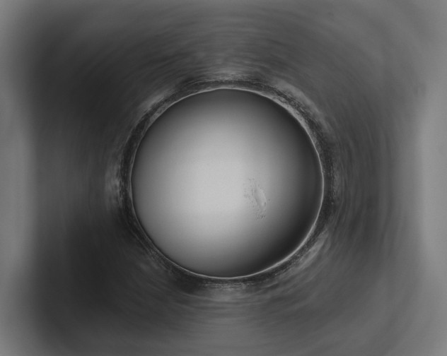 X0000102361210200808011445