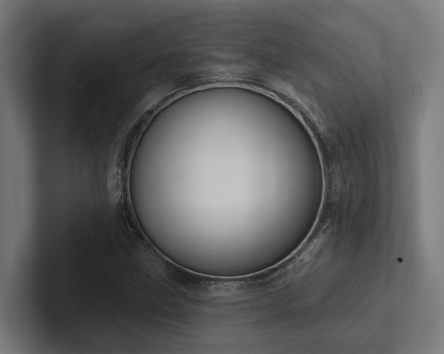 X0000102361211200808011445
