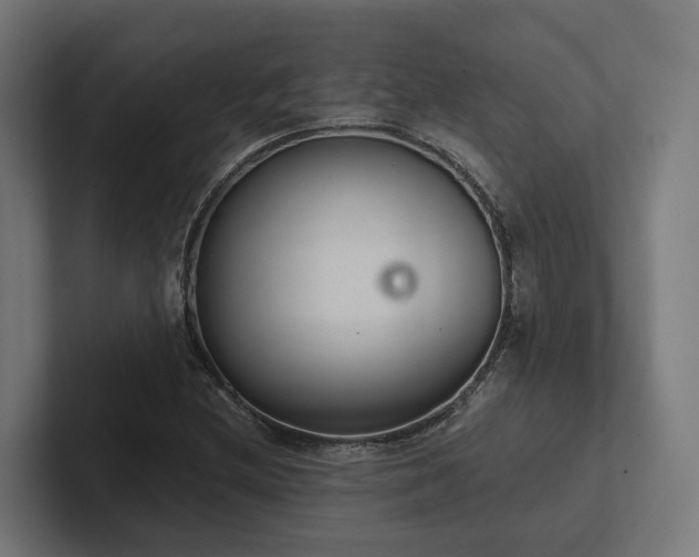X0000102361212200808011445