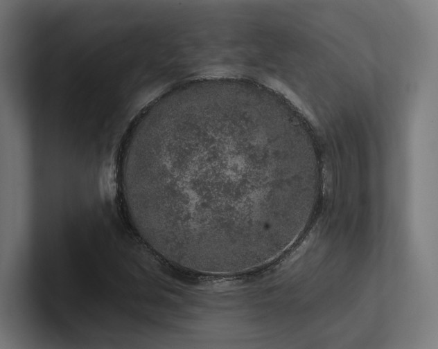 X0000102361213200808011445