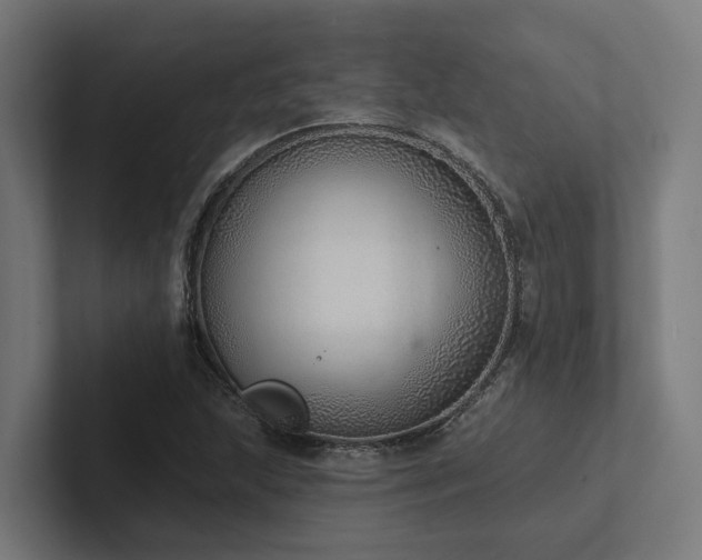 X0000102361215200808011445