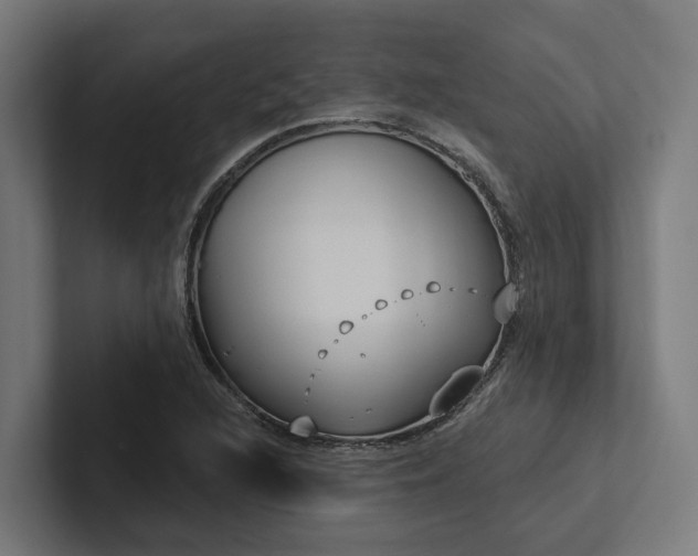 X0000102361216200808011445