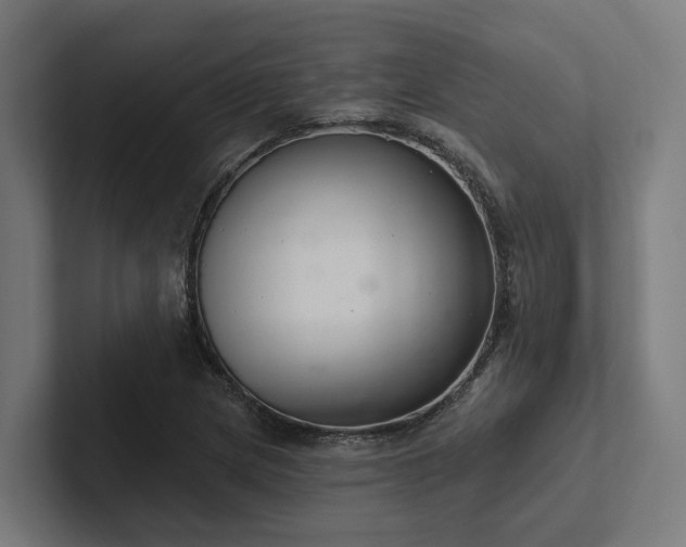 X0000102361217200808011445