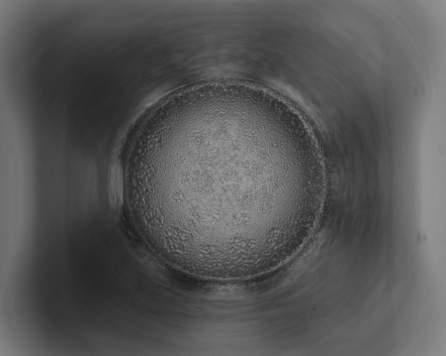 X0000102361219200808011445
