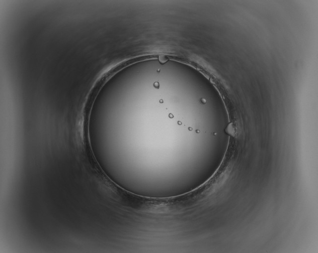 X0000102361222200808011445