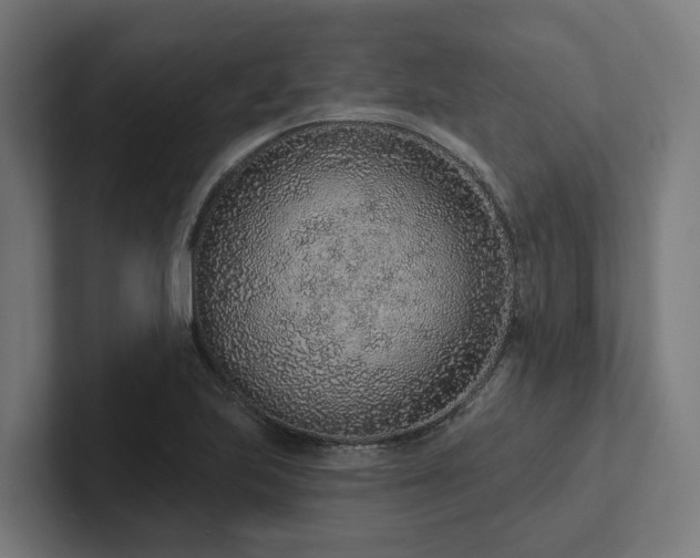 X0000102361223200808011445