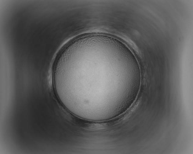 X0000102361224200808011445