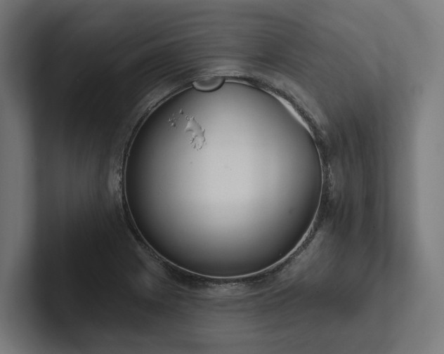 X0000102361225200808011446