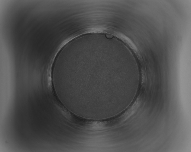 X0000102361226200808011446