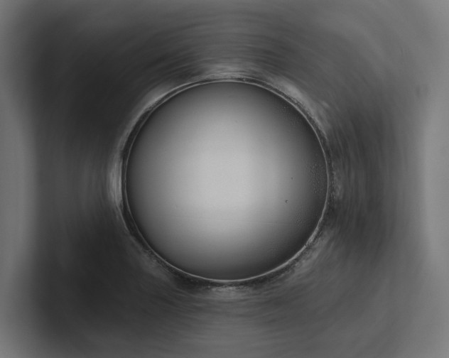 X0000102361227200808011446