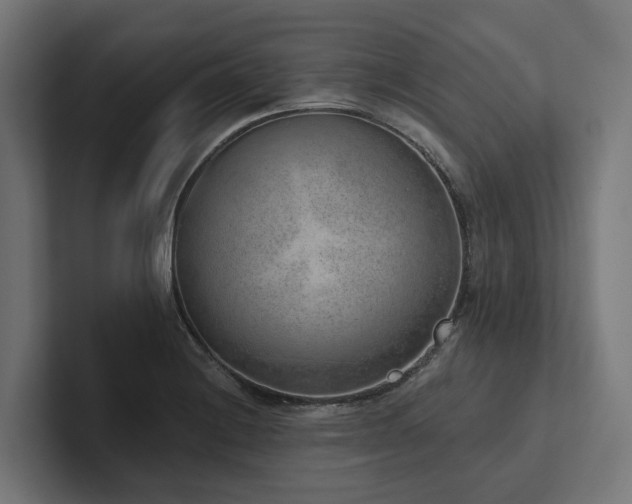 X0000102361228200808011446