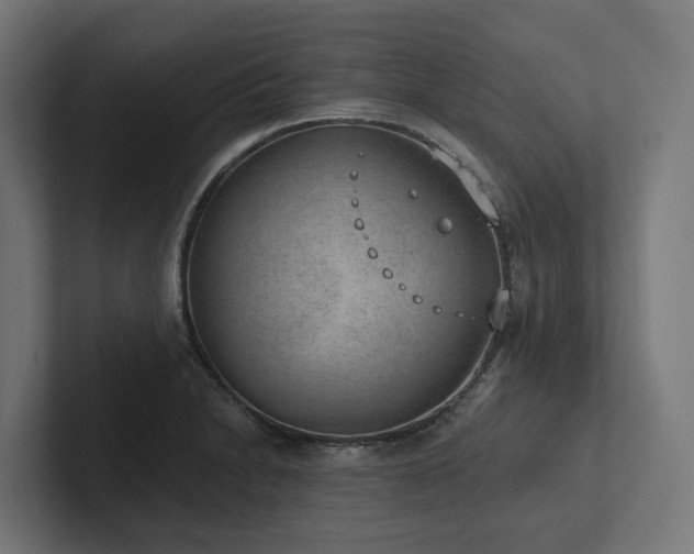 X0000102361230200808011446