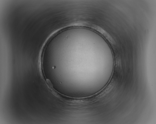 X0000102361232200808011446