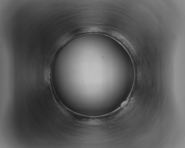 X0000102361233200808011446