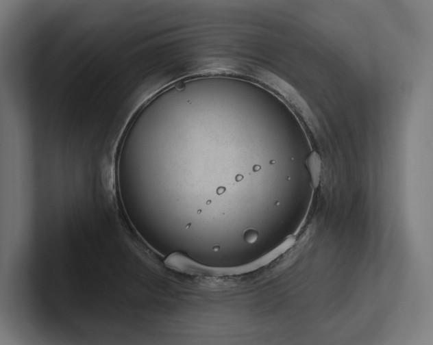 X0000102361234200808011446