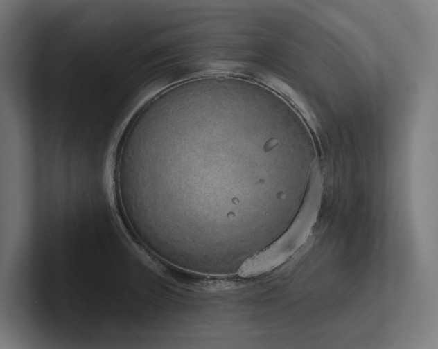 X0000102361235200808011446