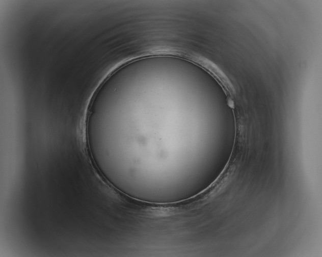 X0000102361236200808011446