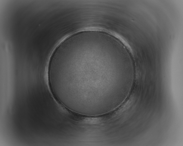 X0000102361237200808011446