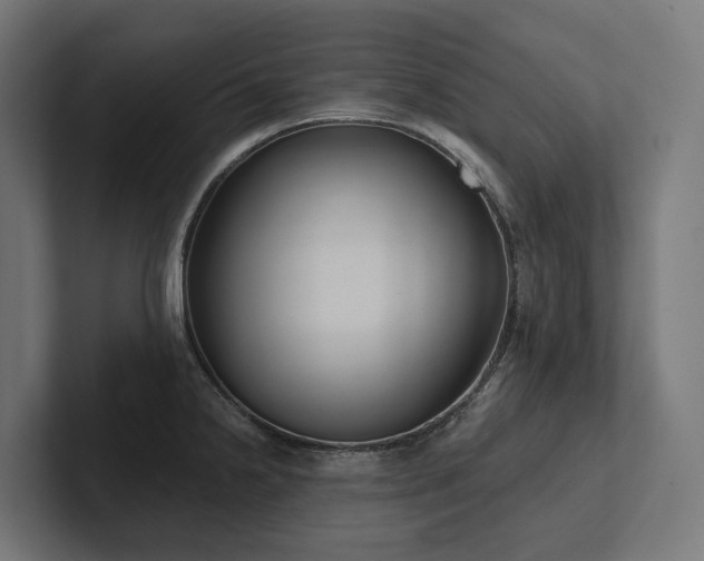 X0000102361238200808011446