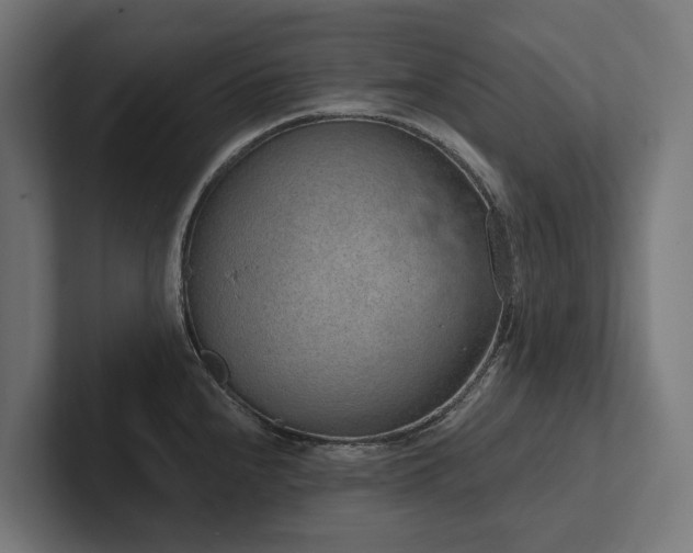 X0000102361240200808011446