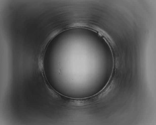 X0000102361241200808011446