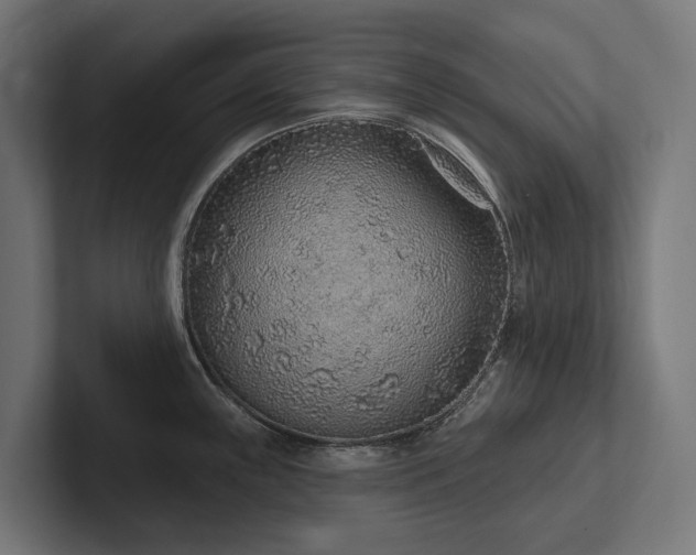 X0000102361243200808011446