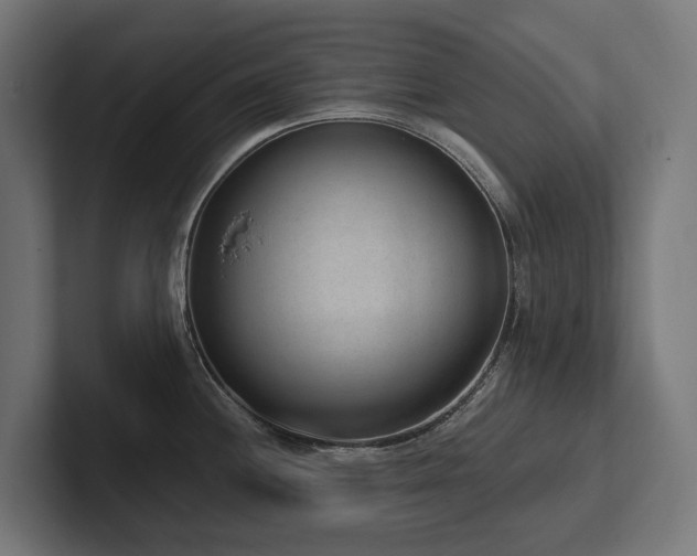 X0000102361244200808011446