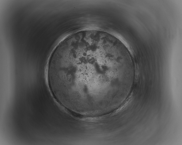 X0000102361245200808011446