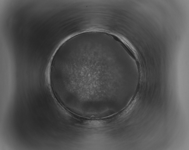 X0000102361246200808011446