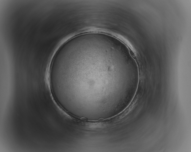 X0000102361247200808011446