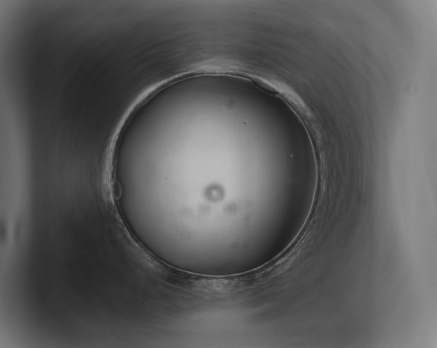 X0000102361248200808011446