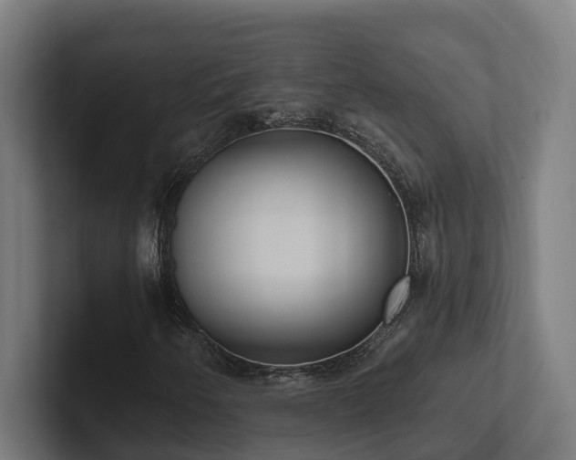 X0000102361250200808011445