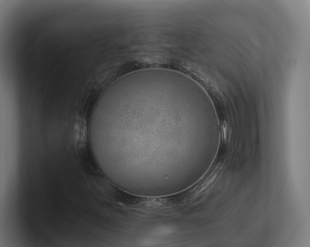 X0000102361251200808011445