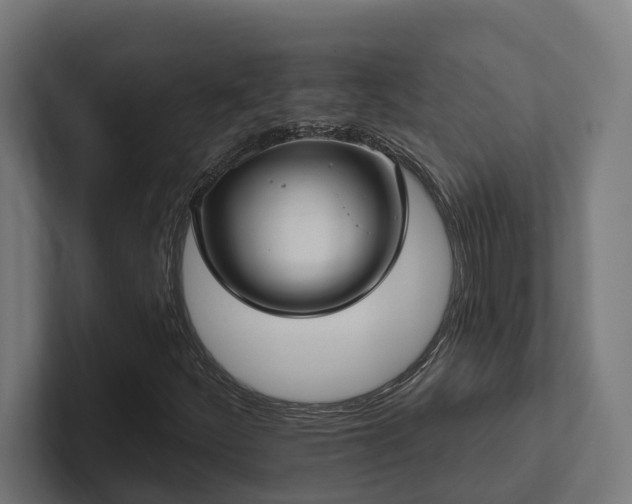 X0000102361252200808011445