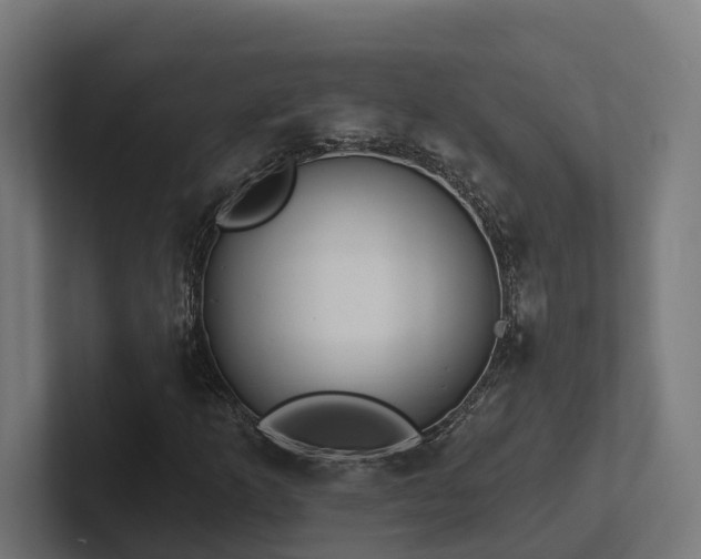 X0000102361253200808011445