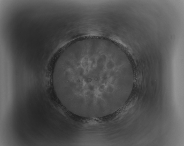 X0000102361255200808011445