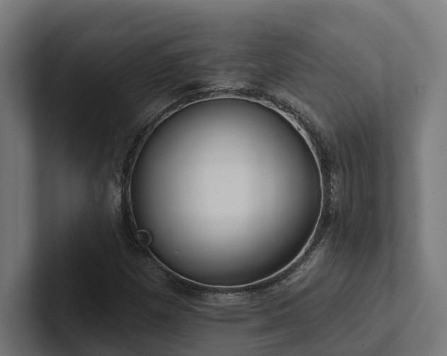 X0000102361257200808011445