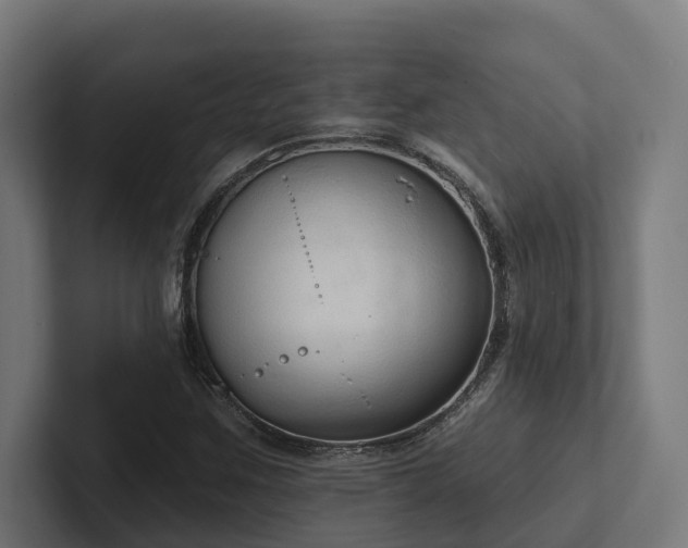 X0000102361259200808011445