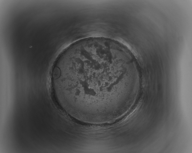 X0000102361263200808011445