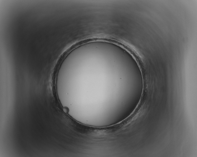 X0000102361264200808011445