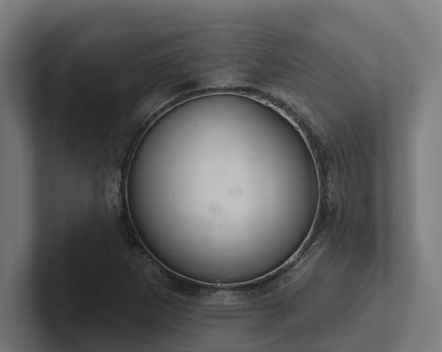 X0000102361265200808011445