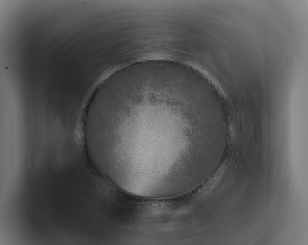 X0000102361266200808011445