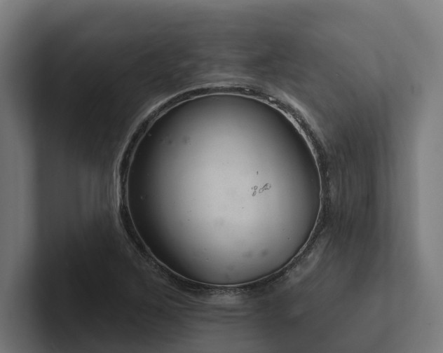 X0000102361267200808011445
