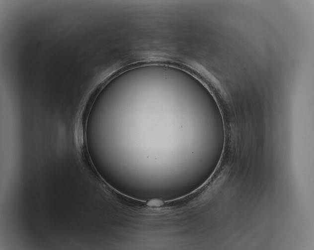 X0000102361269200808011445
