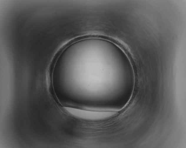 X0000102361271200808011445