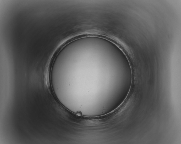 X0000102361272200808011445
