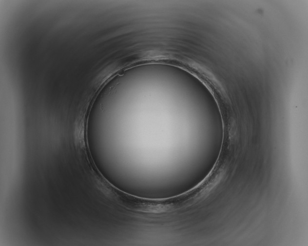 X0000102361273200808011445
