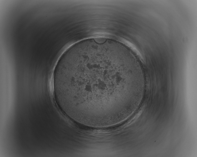 X0000102361275200808011445